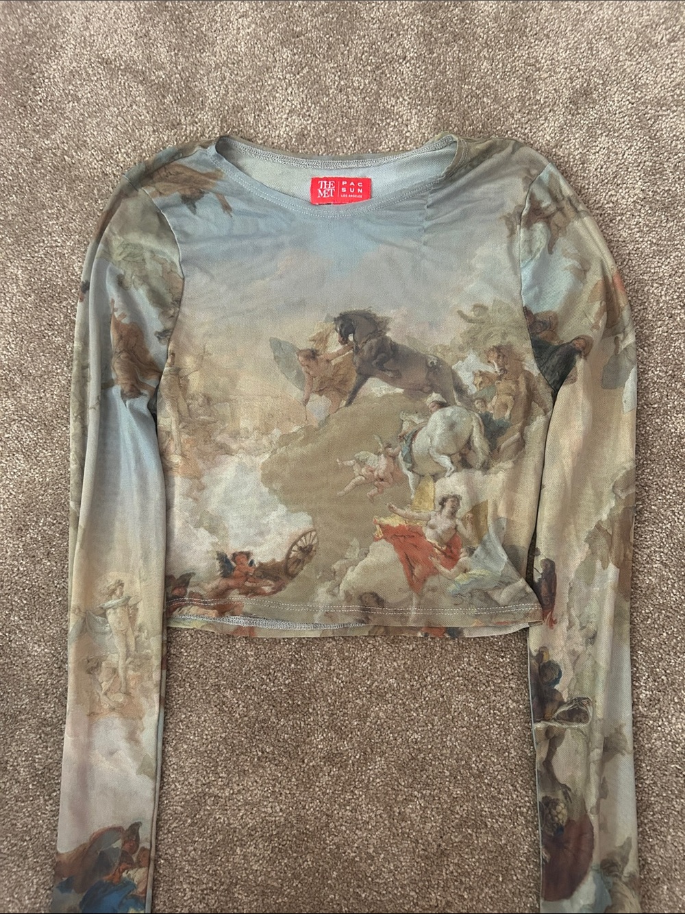 PacSun Sheer Mesh Top with Antique Scenic Print in Muted Blue and Tan